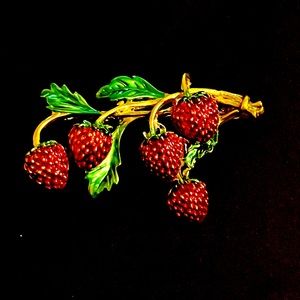Beautiful Strawberries Brooch